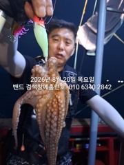 20일 홈런호 야간문어 13인 실시간 조황입니다 굿조황 보장합니다ㅎㅎ