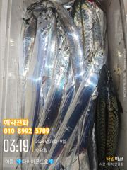 쿨러가득 사이즈 끝내줍니다! 예약가능! 전화주세요~
