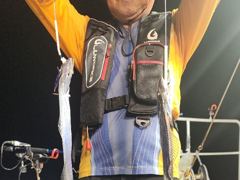 실시간 조황 보아스