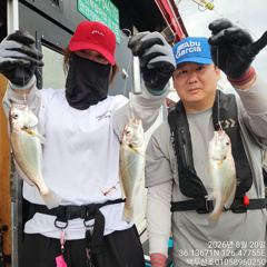 26년8월20일 홍원항 백두산호 백조기 조황입니다..