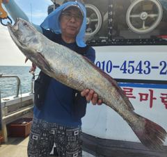[격포 블루마린호] 8/20 민어 외수질 조황