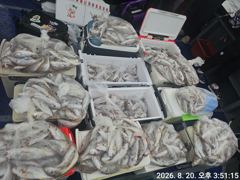 8월20일 백조기낚시^^