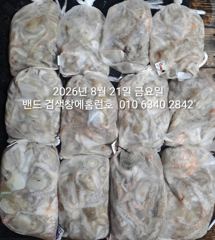 8월20일 군산 홈런호 야간 문어 12명 조사님의 마무리 조황입니다.수고 하셨습니다.