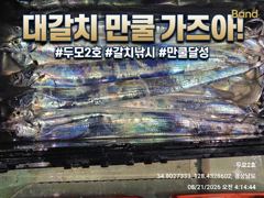 [ 갈치 텐빈 텐야 ] 씨알 마릿수 좋아요