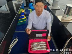 오늘의조황 - 8월19일 백조기낚시^^ - 오천항 성령낚시,성령호