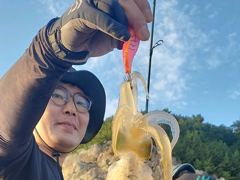 [통영] 무늬팁런 k급외 싸이즈급들로 마리수 ~