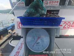 "여밭돌문어" 개인6kg4.5g 6분이 105수 퍼담고~ 개인27수22수20수 전원마릿수 팍~팍~