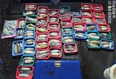 [통영] 팁런) 7명이서 120수 대박~!!! 오늘 출동합니다!!!