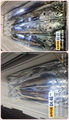 통영 뉴 아시아호>> 대 갈치 포인트 찾아 먼 곳으로~ 오늘 금요일 자리 여유