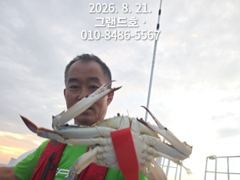 8/21일, 군산 주간꽃게 "난리입니다"~잘 나오고 있어요~실시…