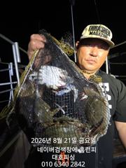 8월20일 군산 홈런호 야간 문어 12명 조사님의 마무리 조황입니다.수고 하셨습니다.