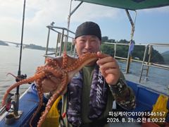 돌문어! 토요일 주간!야간! 자리 있습니다