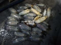 [통영] (무늬팁런)20일 오늘도 세자릿 수 오버~!!