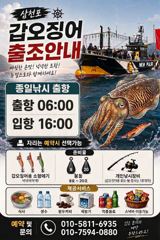 갑오징어 개시