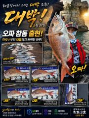[거제] 심야선상/쏟아지는 대물들 마릿수로 폭팔!!