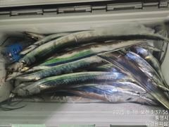 [사천] 내일 텐빈텐야 달립니다 6분예약중 무조건 달립니다 10자리여유 …