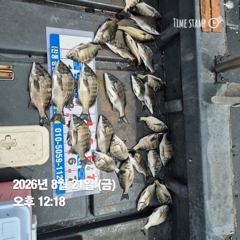 [마산] 돔앤돔호 오늘4분 조황입니다.