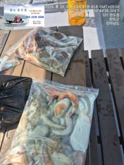 오늘   조황.....