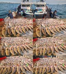 ♥붉바리들~ 이정도는 잡아봐야지요 대박 붉바리조황입니다 [2026년08월21일] ◎ 해마루호가 뜨는이유? 조황때문이죠 ◎ 핵심포인트: 바로진입.. 바로히트.. ▣ 차원이 다른 조황으로 모십니다 ▣ 요즘 붉바리낚시가 대세입니다