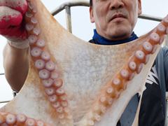 성복호 문어대박 15마리