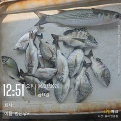 [고성] 병산 8/21 감성돔 ,농어마리수 선외기 흘림조황~~