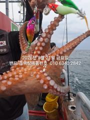 8월21일 군산 홈런호 야간 문어 출조 하였습니다.히트소리와 함께 문어들 올라옵니다.실시간 구경하세요