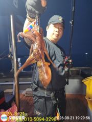 8-21(실시간)돌문어~~일오후 자리널널함