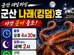 8/21 군산나래호(킹덤) 야간문어 실시간조황 23일 자리 여유있습니다