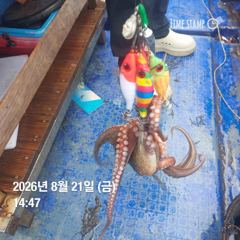 포항 종방) 제2대일호 8월 21일 조황