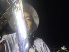 9시~ 갈치 약속의 시간