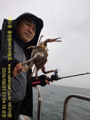 꽃게 낚시  조황 입니다