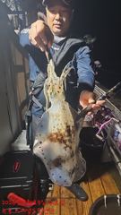 [한치] 고흥 스페셜드림