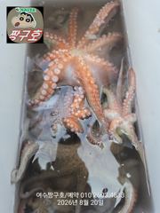 여수 짱구호  8월20일(목) 문어(장원30수) 조황