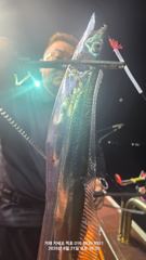 8월21 적호조황