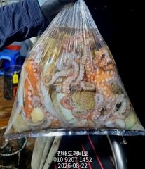야간돌문어&팁런무늬오징어 21일 소수인원모시고 다녀왔습니다
