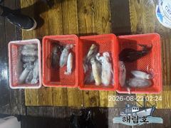 8월21일 무늬오징어 팁런조황입니다.