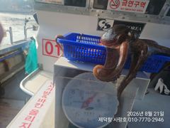 [진해] "여밭돌문어" 1200g외 개인16수15수12수외 연이은 3자릿…
