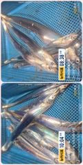 통영 뉴 아시아호>>  대박!! 70리터 얼음 녹이고 만쿨까지~~ 일요일부터 자리 여유~