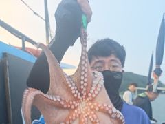 <여수청홍낚시>다음 주 물심 기대! .8월21일 여수 야간 문어낚시 조황 소식!