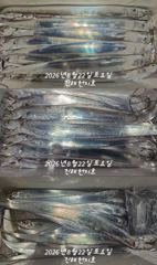 내만갈치 씨알급으로 손맛보고~~~예약가능