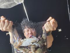 ⭐군산리더호 꽃게 출조 급하게 합니다⭐