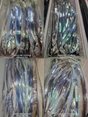 준내만 갈치 4지 쌍걸이까지 미치것네~~(화욜부터 예약  가능)
