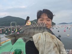 35전후마릿수 진행중 오전낚시