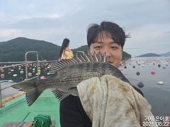 35전후 마릿수 진행중 오전낚시 [1]