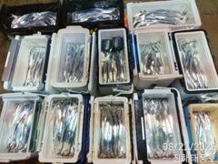 22일새벽 내만갈치 3지급까지 마릿수도 많아요.  일요일부터 예약가능.