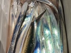 준내만갈치씨알급손맛짱짱철수조황(월요일예약가능)