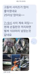 [마산] 마산 원전 선상낚시터 야간 조황