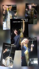 21일간절곶피싱  팀런 무늬조황