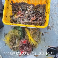 암초 포인트 문어 낚시