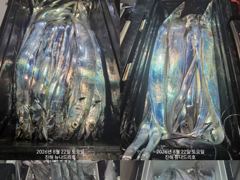 [진해] 준내만 갈치 4지 쌍걸이까지 ?미치것네~~(화욜부터 예약 가능…